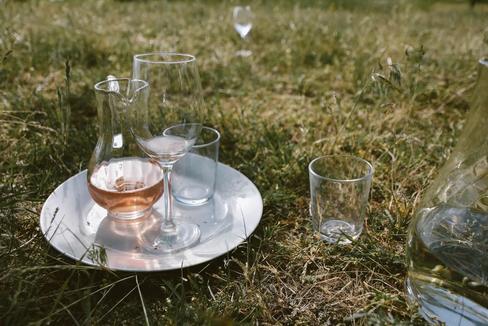 Pique-nique avec des verres de vin et un pichet sur un plateau
